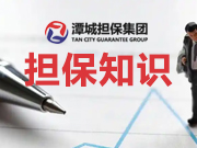 擔保業(yè)務(wù)如何支持中小微企業(yè)之我見