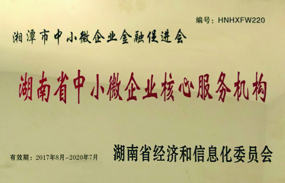 湖南省中小微企業(yè)核心服務機構