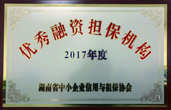 2017年度優(yōu)秀融資擔保機構